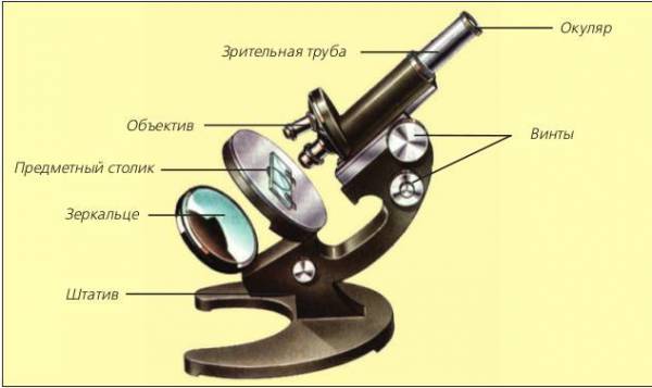 2. Зрительная трубка