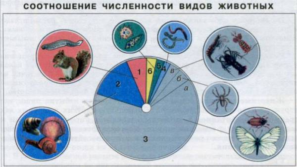 Что изучает комплексная наука зоология